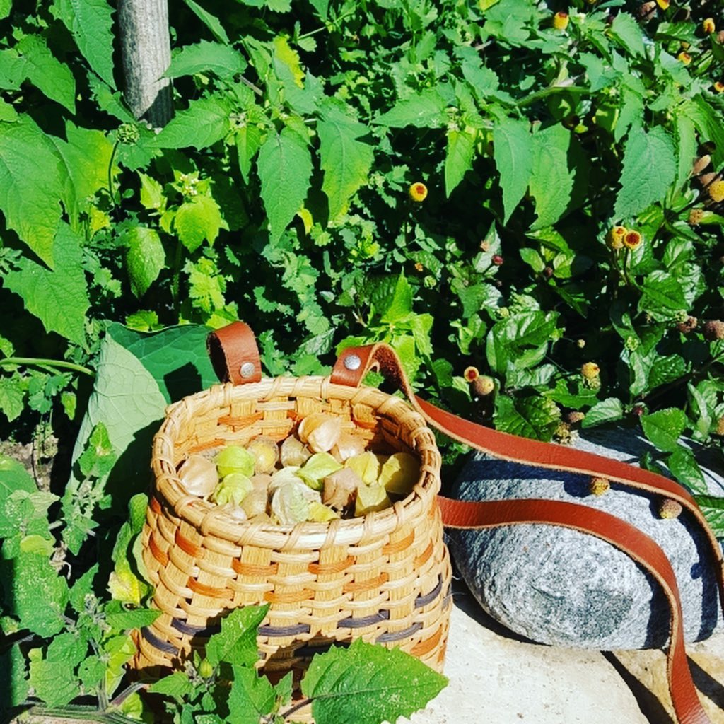 Berry Picking Basket Kit – wovenblessingsbasketry
