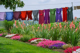 2026 A DAY IN THE LIFE OF THE AMISH WEAVING WORKSHOP - FRIDAY, AUGUST 21